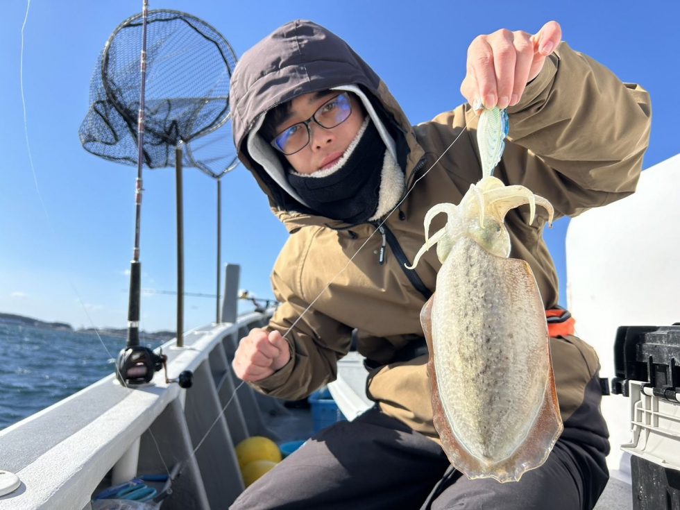 コウイカチャンス!