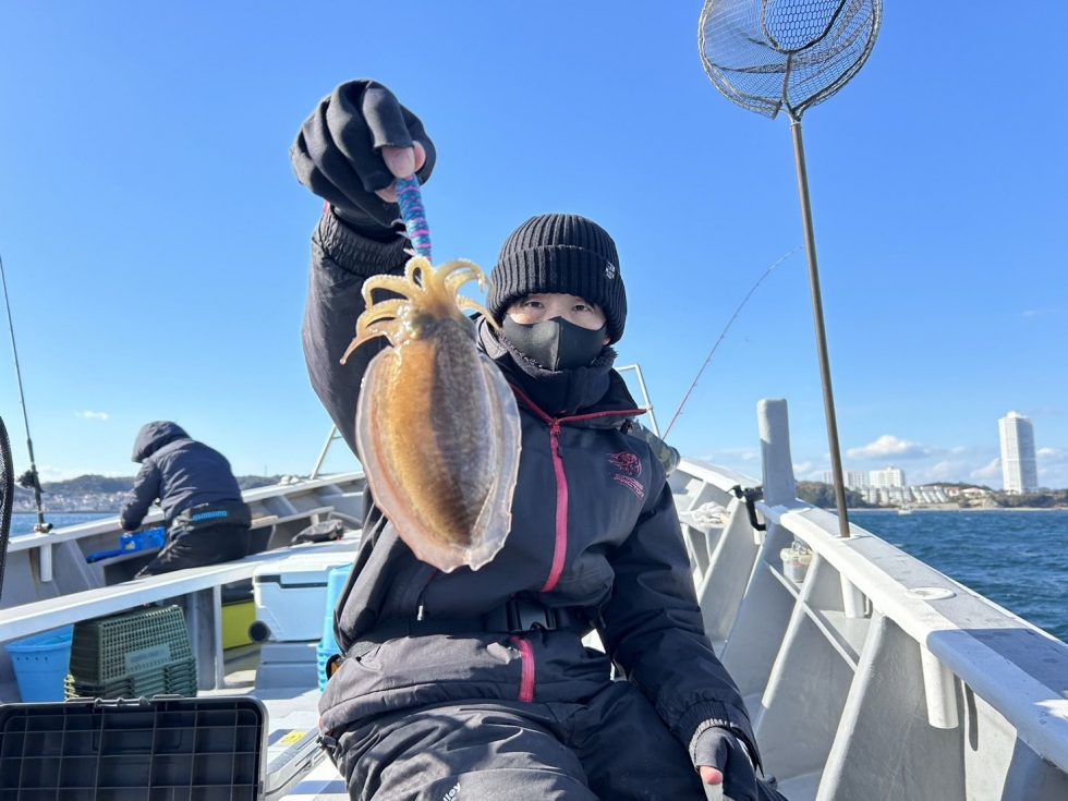 人気のコウイカ！