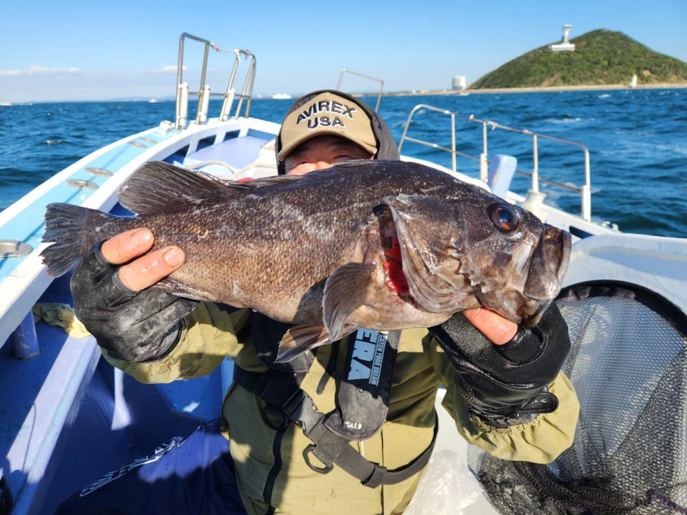 大型クロソイ！