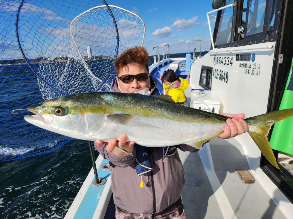 片名前、ブリ回遊中!