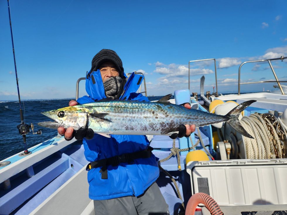 人気のサワラ！