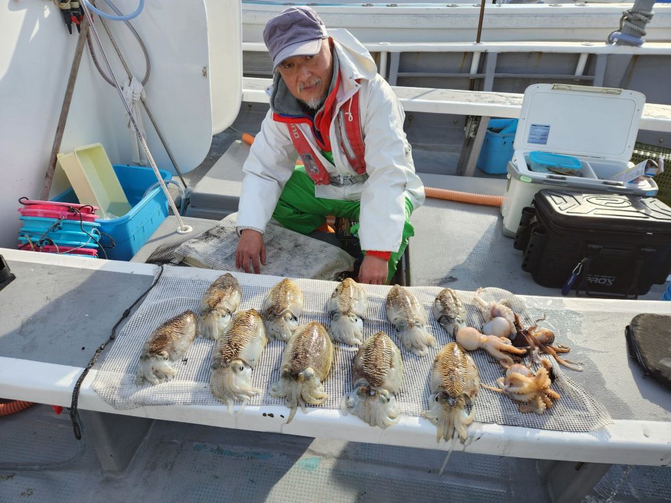 忠栄丸恒例コウイカ釣り爆発中！