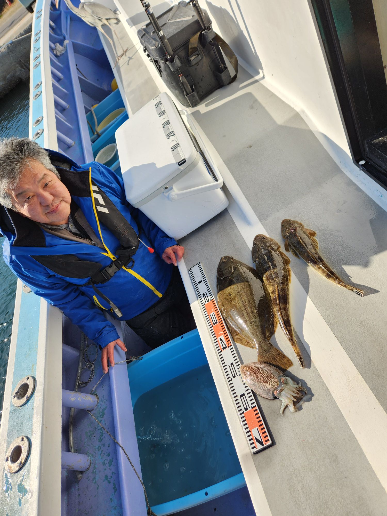 楽しめましたね