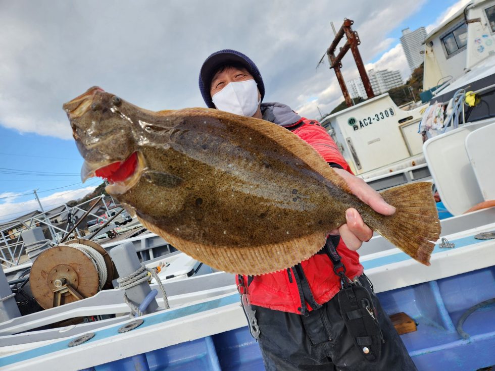 泳がせ釣り！肉厚ヒラメ！第二忠栄丸