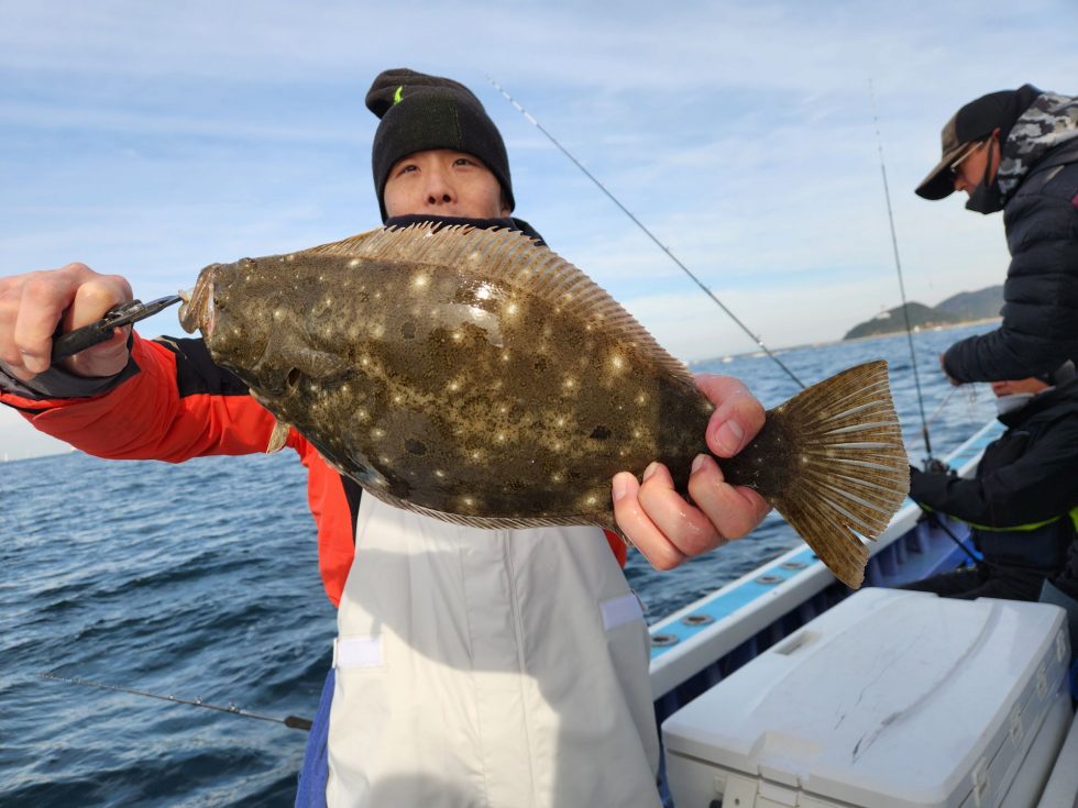 新年もヒラメ青物!