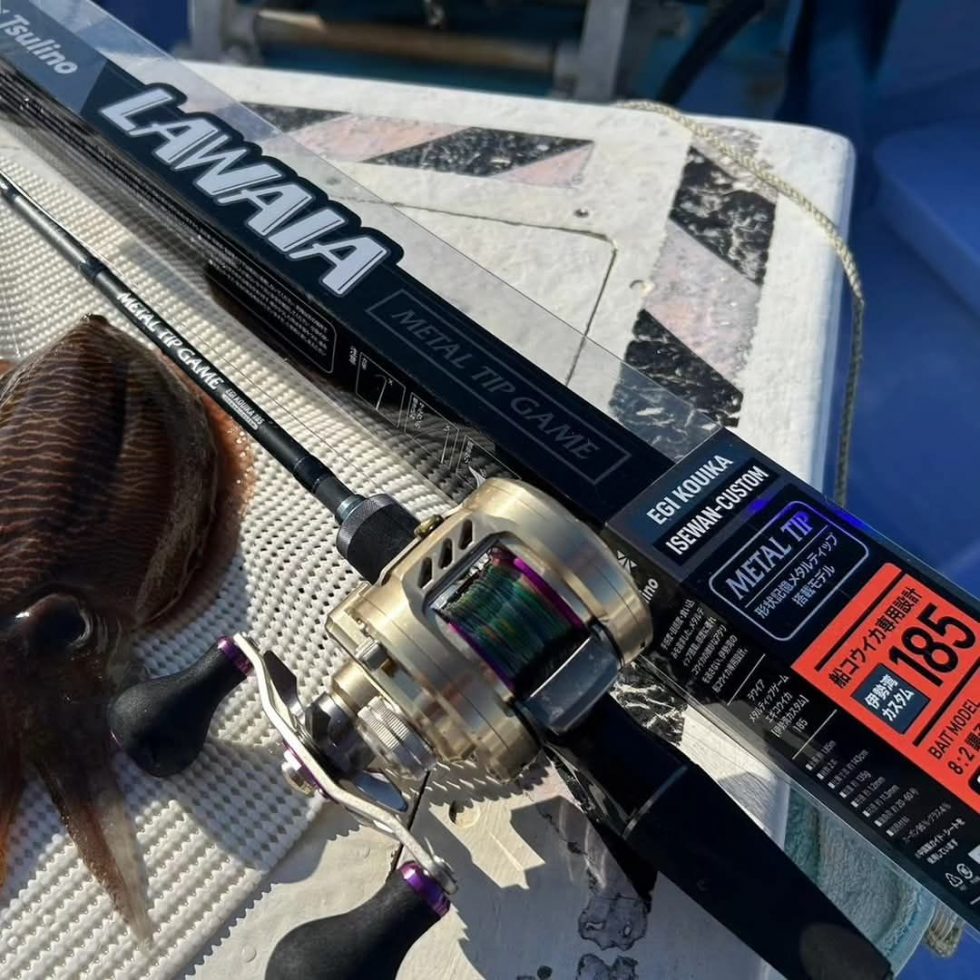 Tsulino！お勧めです！