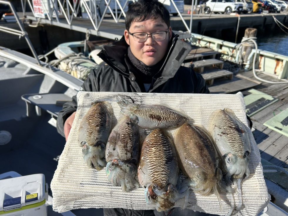 肉厚コウイカのりのり!