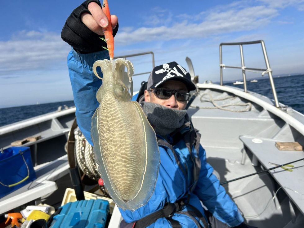 パタパタも強いですね