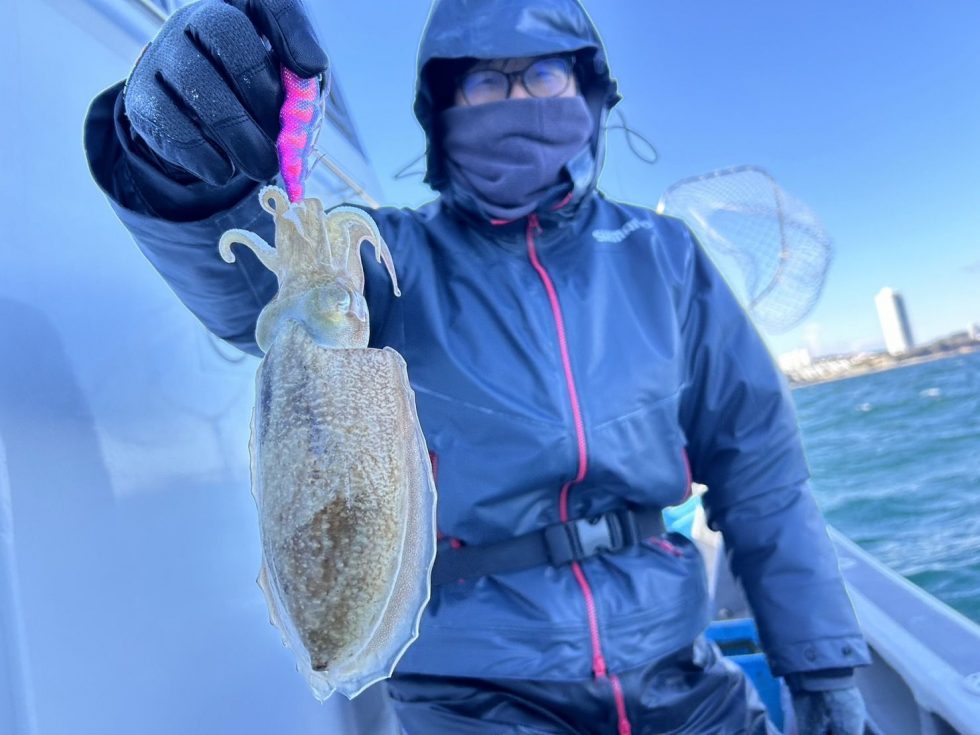コウイカ釣り、泳がせ釣り、出船中!