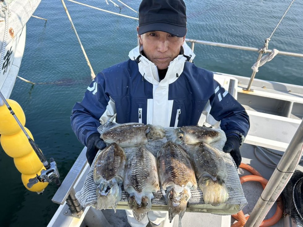 絶品コウイカ！