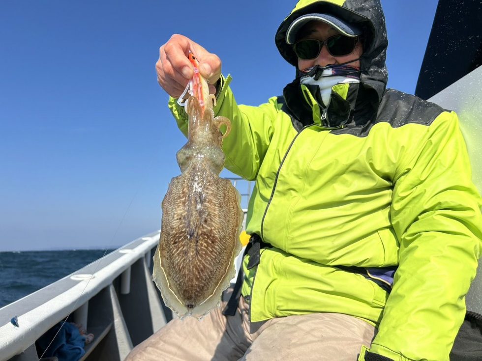 明日(水)コウイカ釣り募集中、泳がせ釣り出船確定。