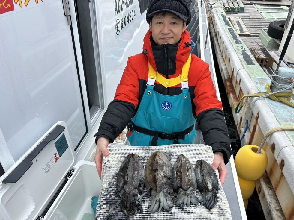 肉厚コウイカチャンス！