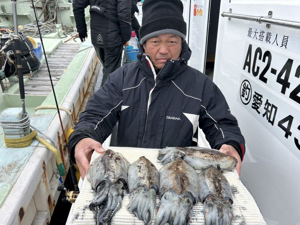 旬のコウイカ爆発中！