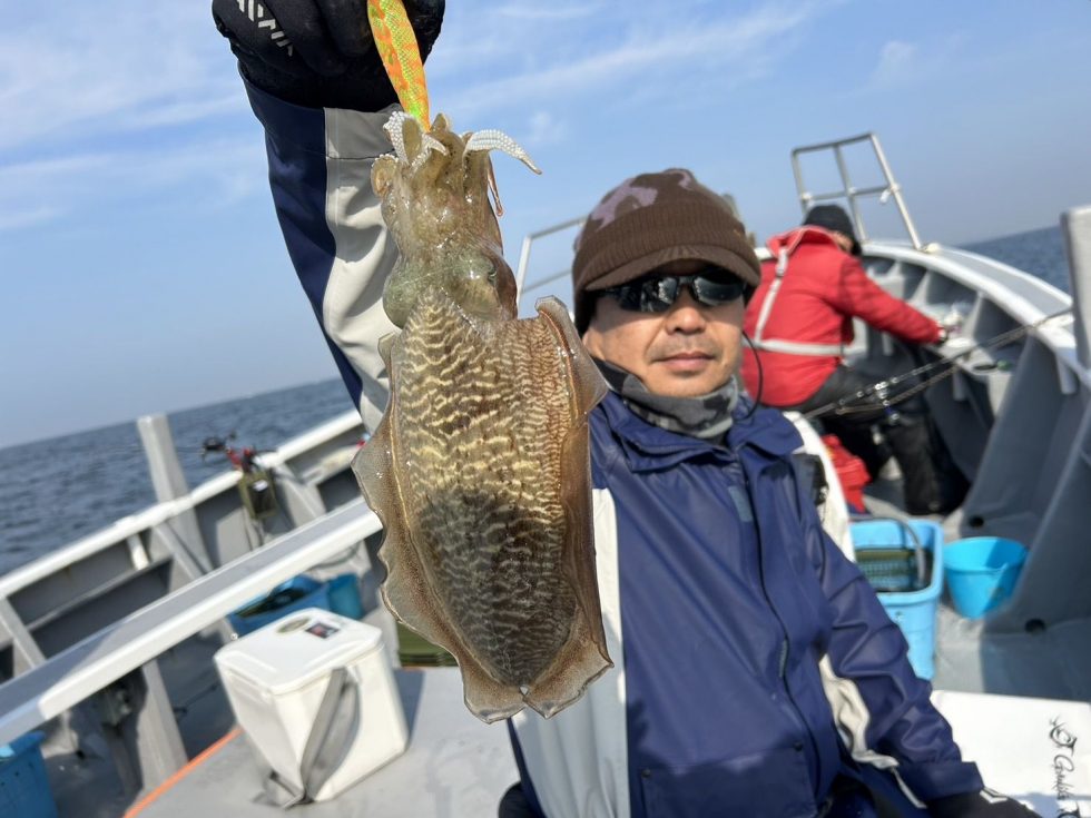 コウイカのみの出船でした！