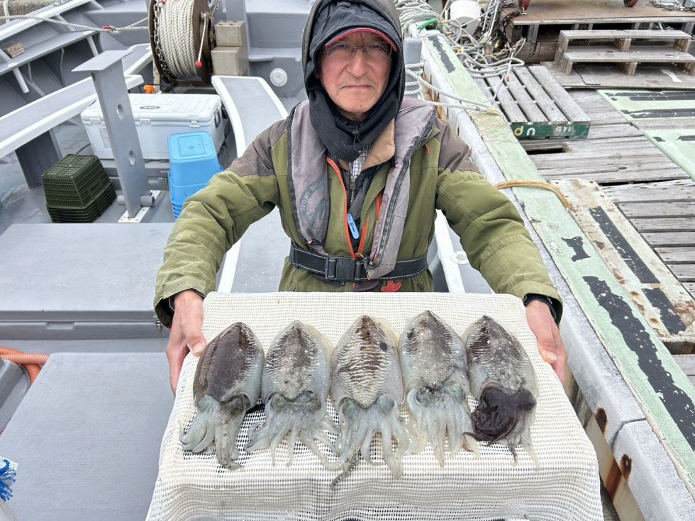 肉厚コウイカ絶好調ー！