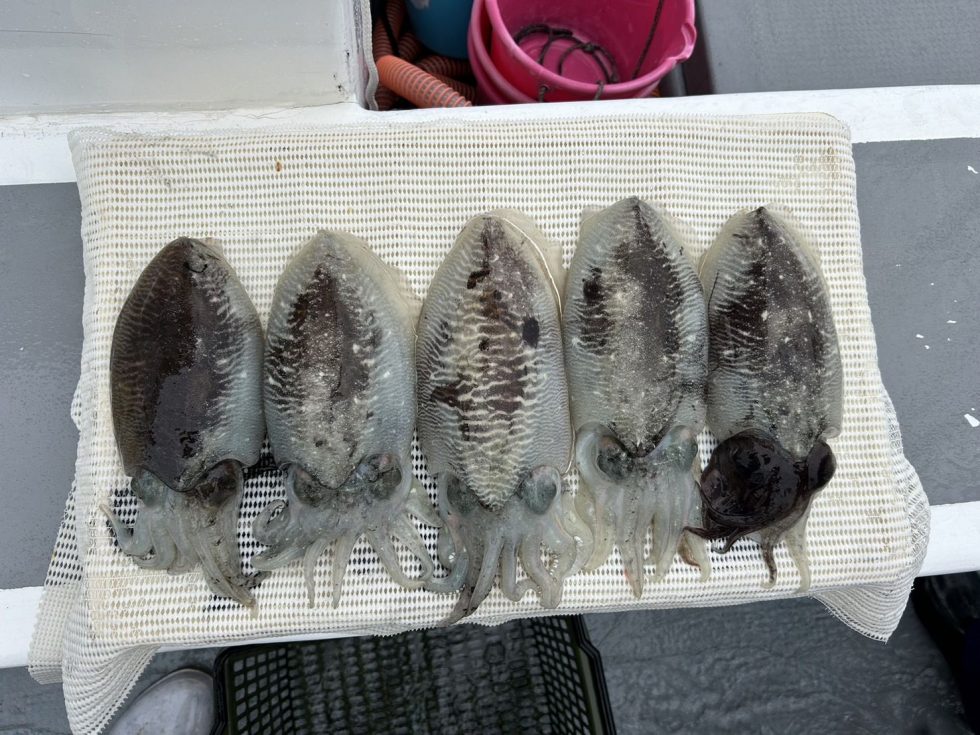 ２隻に分乗ゆったり釣行でした