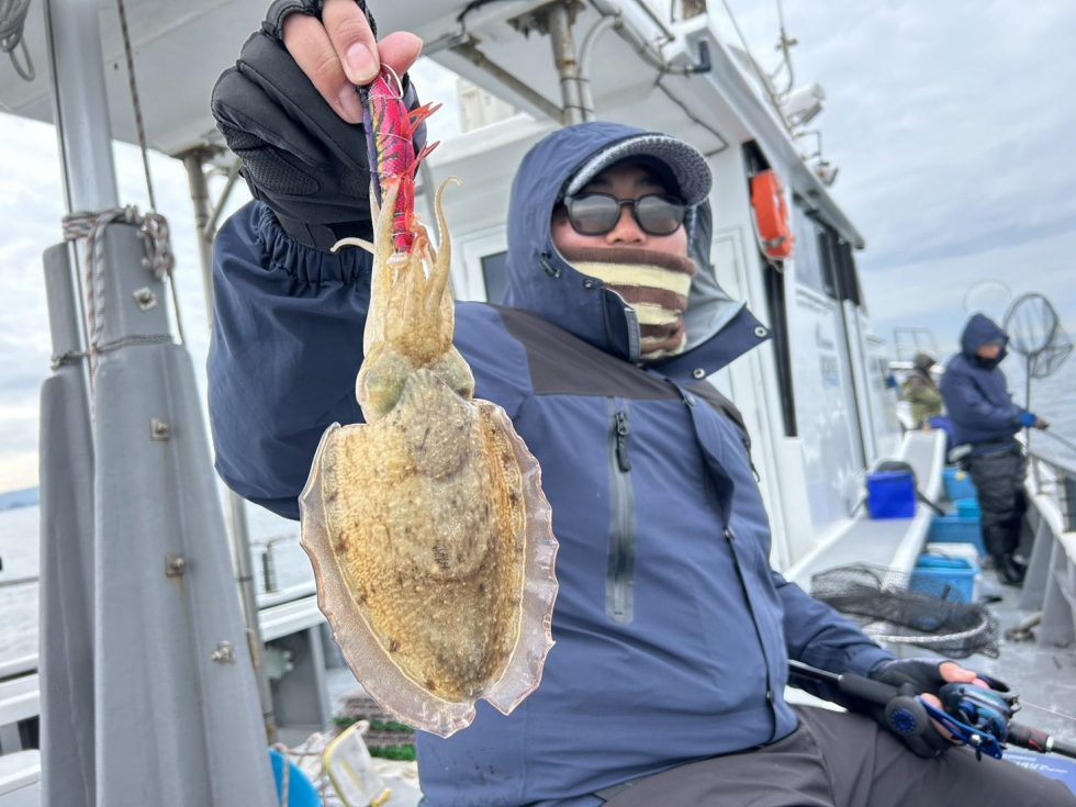 絶品コウイカリピーター続出中ですよ！