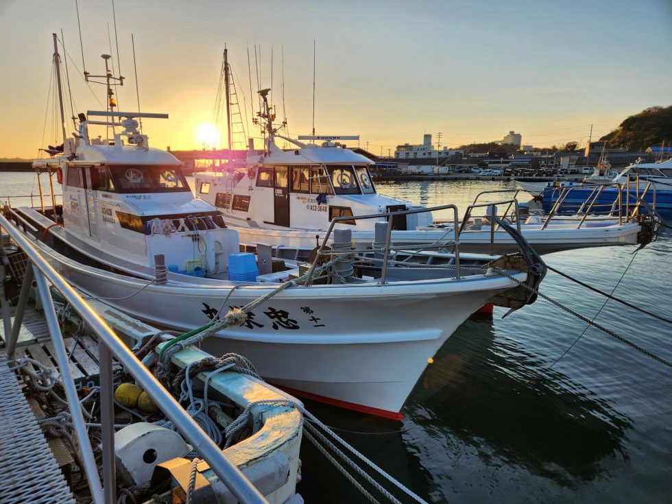 明日1/3(金)コウイカ釣り出船確定、泳がせ釣り出船確定