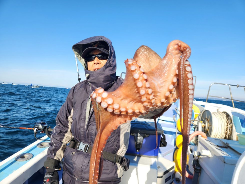 大型マダコ！最高ですね