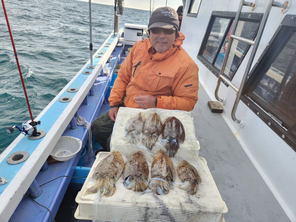 人気のコウイカ連日絶好調！