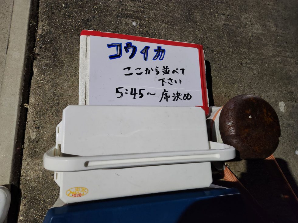 明日(日)もコウイカ出船確定です！