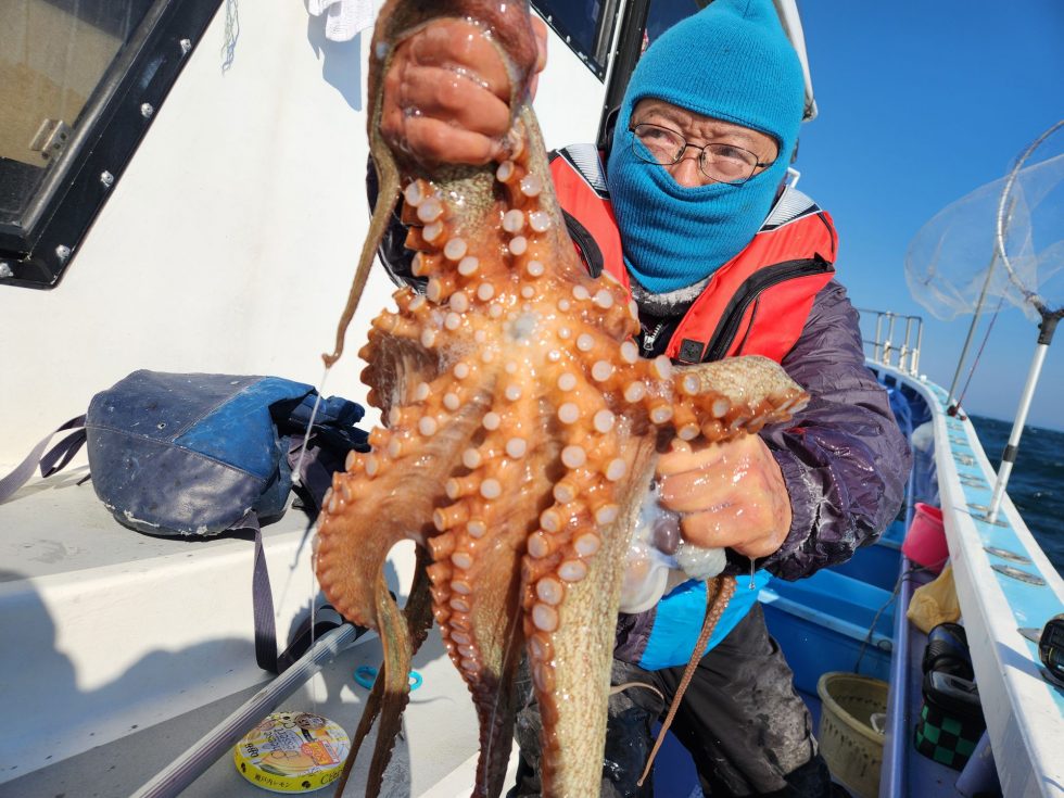 大型マダコ！