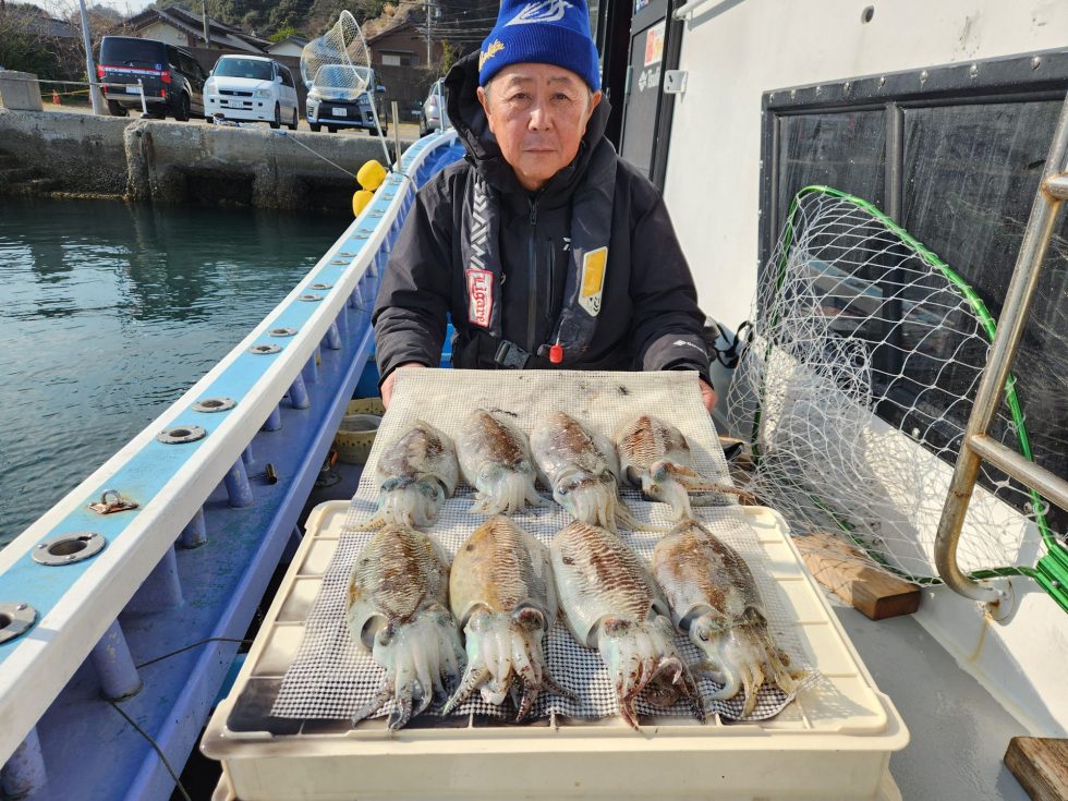 コウイカ絶好調ー！