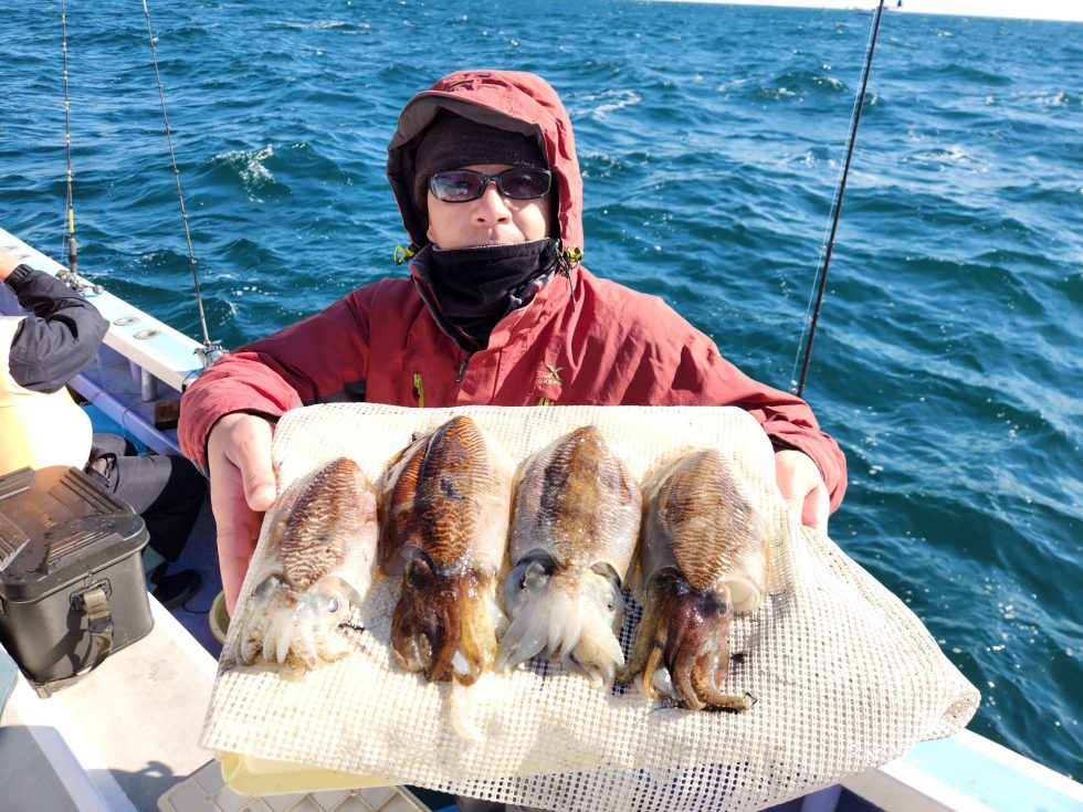 肉厚コウイカ！