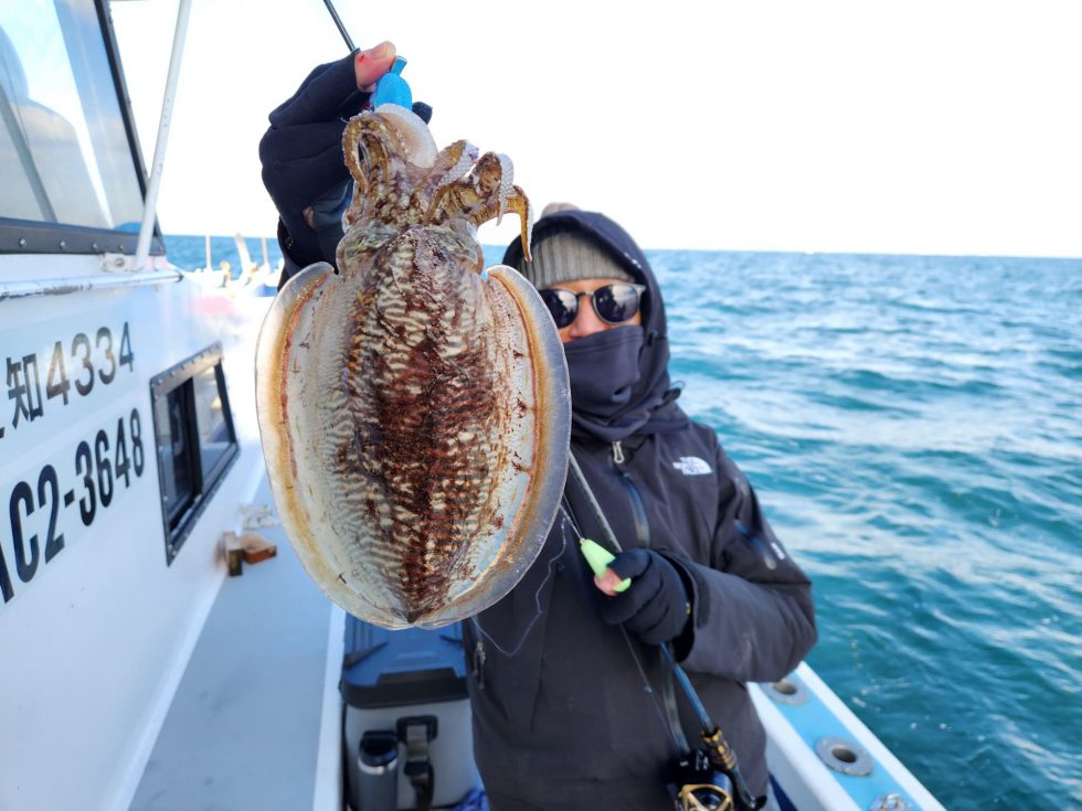 コウイカ大チャンス！明日も出船確定