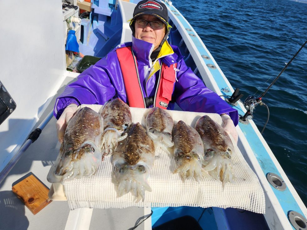 肉厚コウイカ絶好調ー！