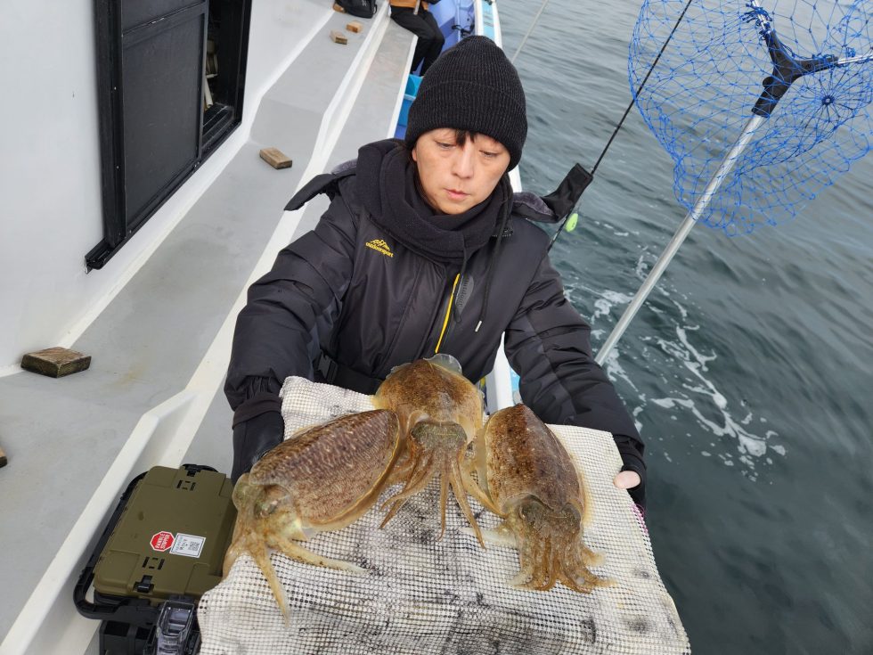 特大コウイカ！