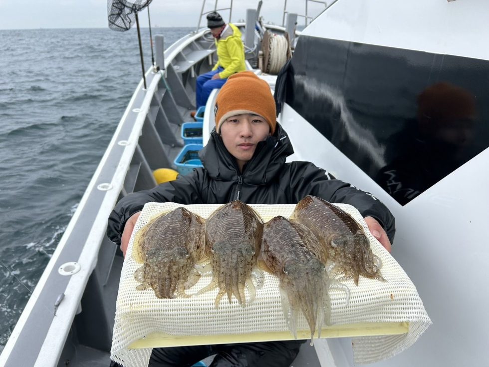 肉厚絶品コウイカ！