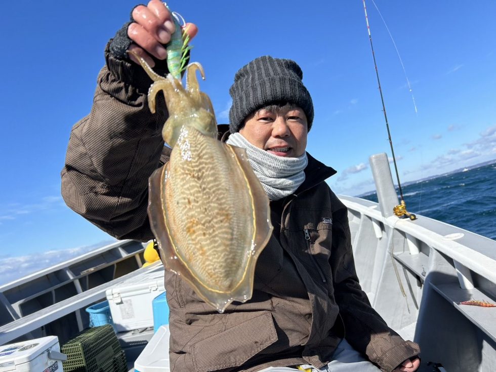 肉厚コウイカ大チャンス!