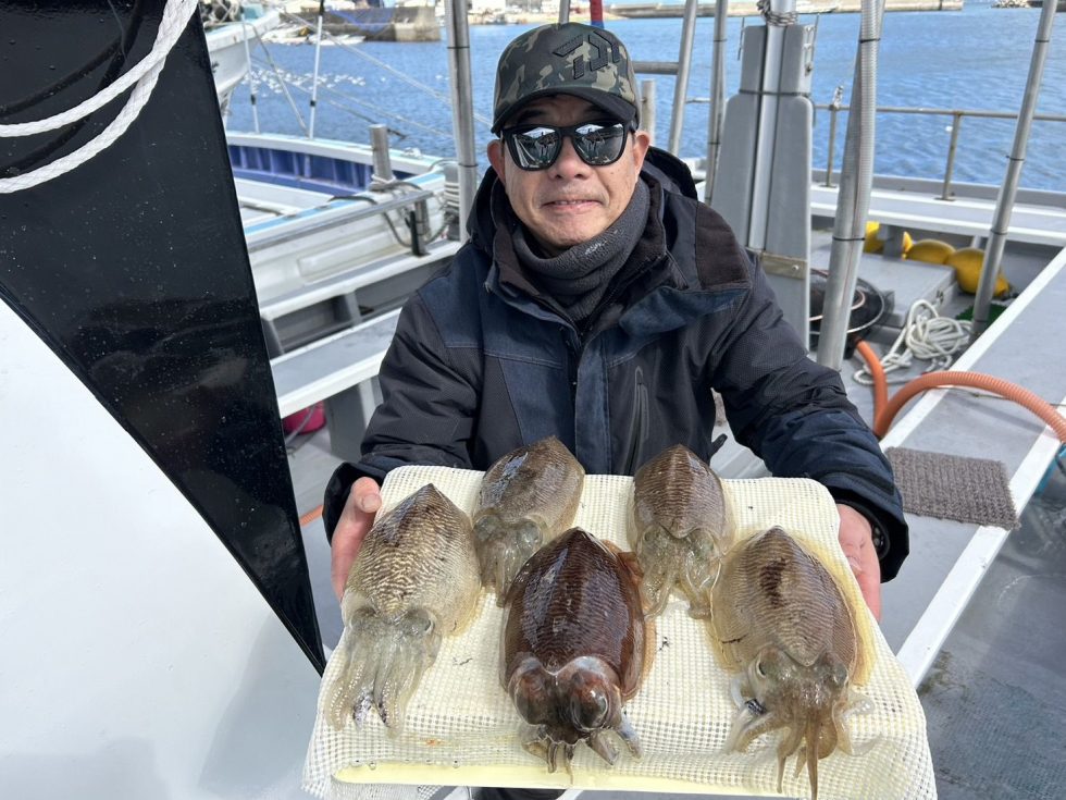 肉厚コウイカ大チャンス!