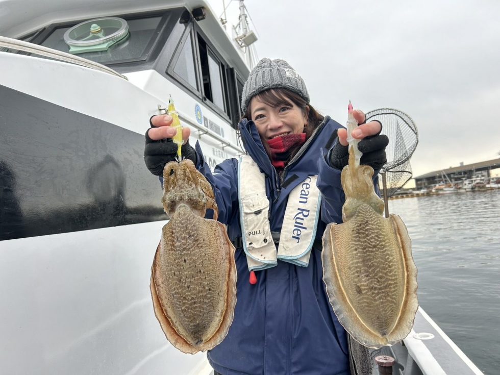 人気の肉厚コウイカ大チャンス！