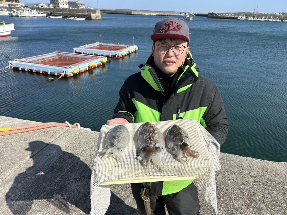 高級コウイカ大チャンス！