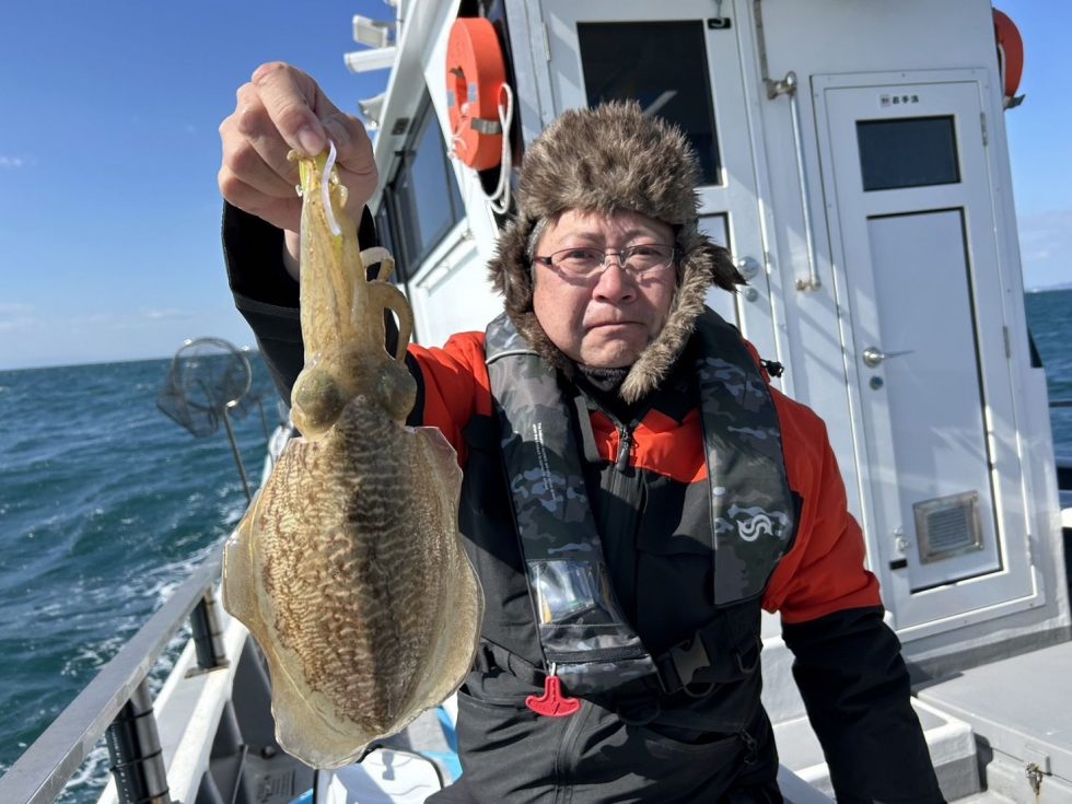 肉厚コウイカ良い感じー