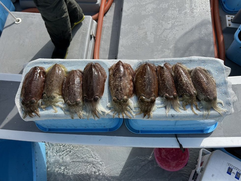 大チャンス到来中!