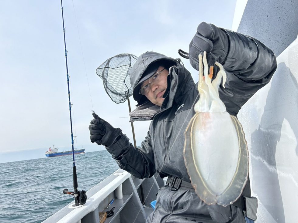 旬の肉厚コウイカ大チャンス！