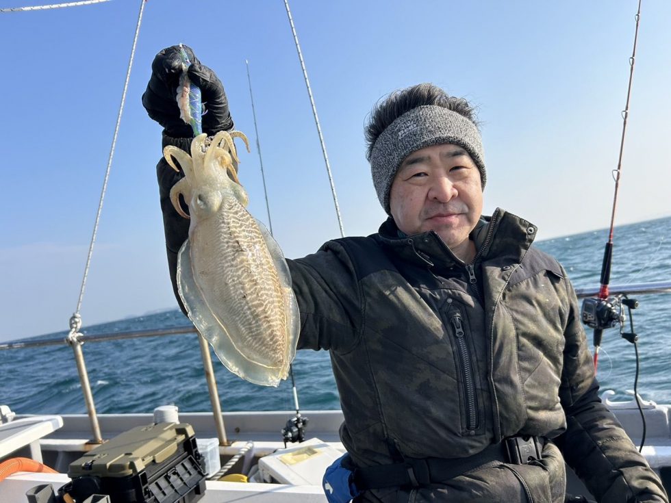 肉厚コウイカ大チャンス!