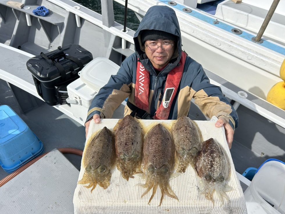 絶品コウイカ絶好調!