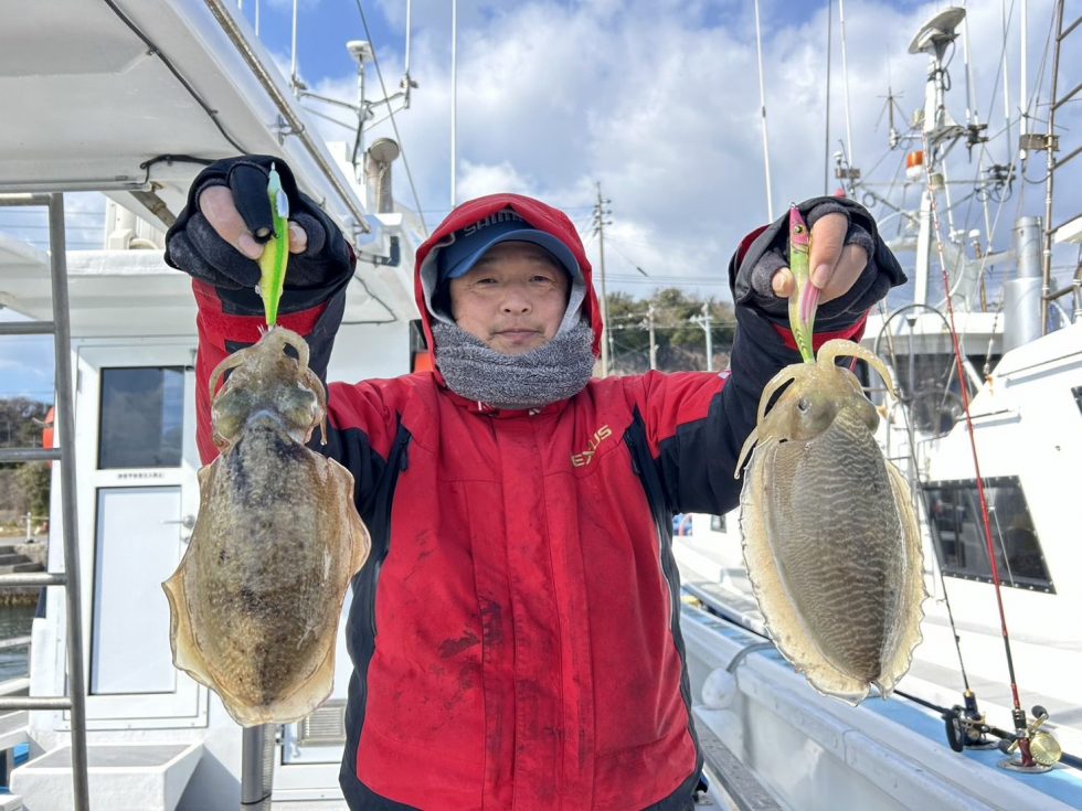 人気の肉厚コウイカ！