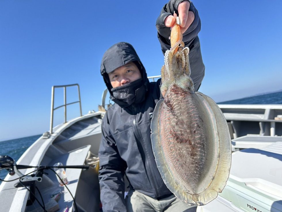 今週は暖かい日になるみたいですよ!