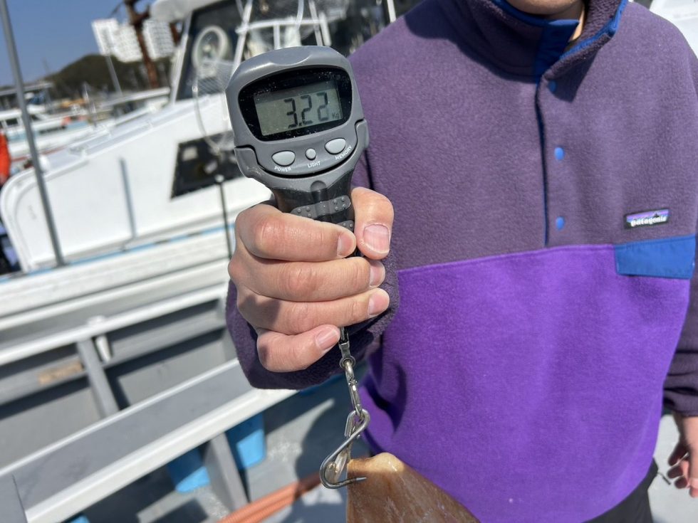 マダコ！驚異の3.22kg！
