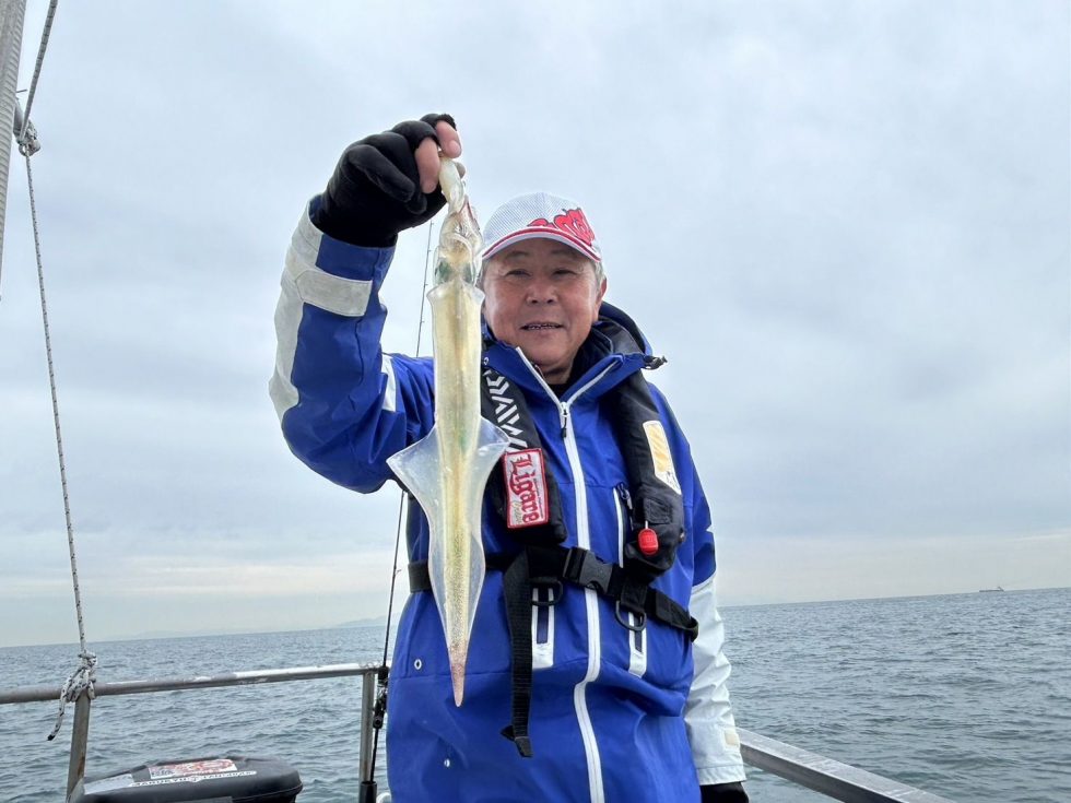 ヤリイカ最高ですね