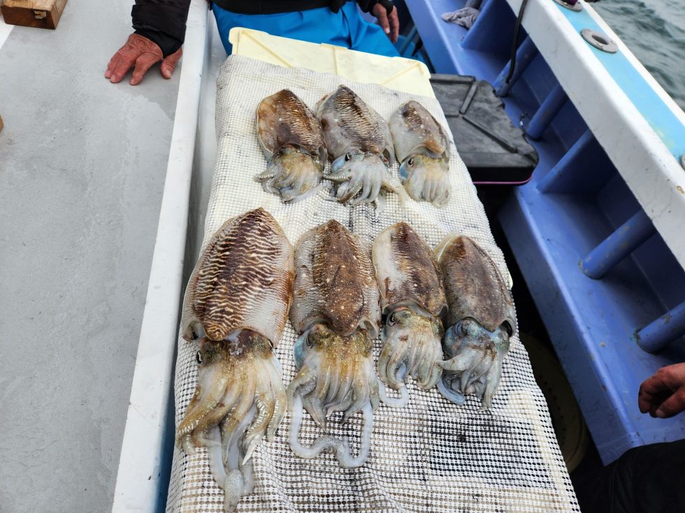 バラシ多数でしたがアタック多く楽しめました。