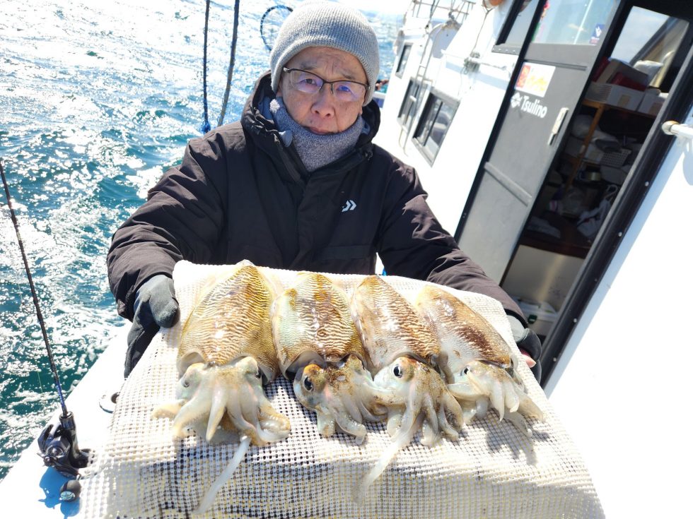 大型化!最盛期突入!