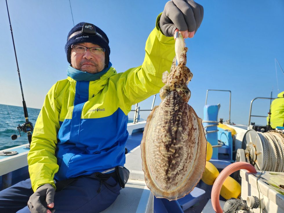 コウイカ大チャンス!是非!