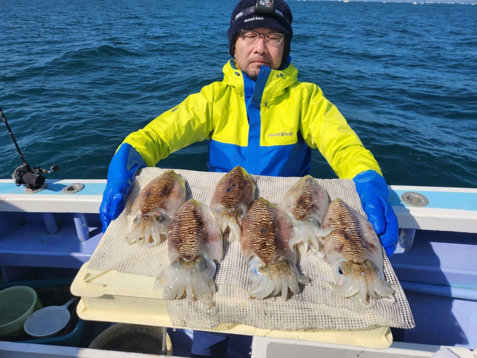 コウイカ釣り初挑戦で釣りまくり!