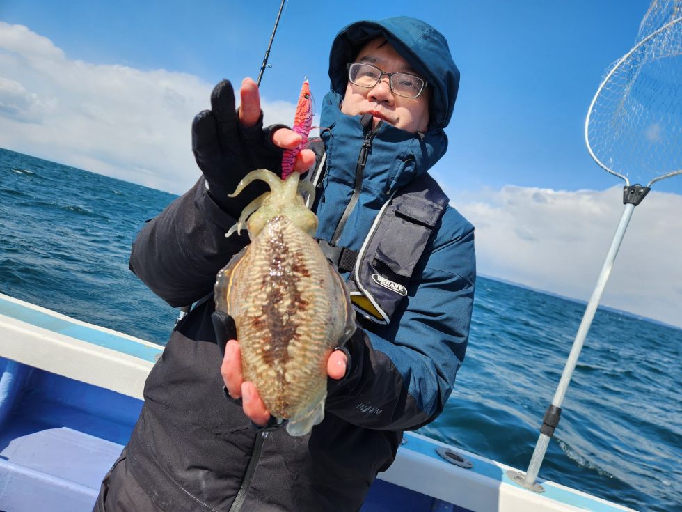 絶品コウイカ！